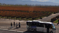 Excursión vinícola en bus con paradas fijas desde Mendoza Excursión vinícola en bus con paradas fijas desde Mendoza