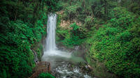 La Paz Waterfall Garden Walking Tour From San José