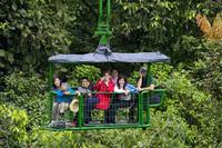 Recorrido de aventura en la selva tropical en el Teleférico del Atlántico Recorrido de aventura en la selva tropical en el Teleférico del Atlántico