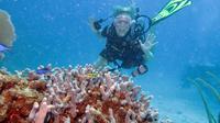 2-Tank Discover Scuba Diving in Fajardo