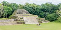 Altun Ha and Belize City Half-Day Tour