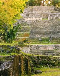 Belize New River Cruise and Lamanai Mayan Ruins Day Trip by Air from Ambergris Caye