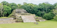 Excursion d'une demi-journée à Altun Ha et la ville de Belize image 1 Excursion d'une demi-journée à Altun Ha et la ville de Belize image 1