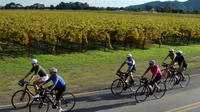 Full-Day Sonoma Valley Bike and Wine Tour