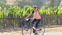 Half-Day Sonoma Valley Bike and Wine Tour