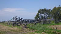 Yallourn North History Walking Tour image 1 Yallourn North History Walking Tour image 1