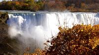 Private Tour and Transfer from Hamilton International Airport to Niagara Falls