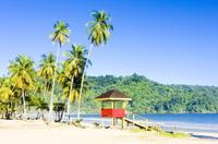 Trinidad Highlights and Scenic Drive Tour