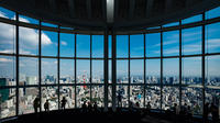 Roppongi Hills Observatory Ticket: Tokyo City View