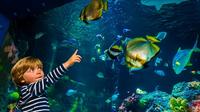 SEA LIFE Helsinki Entrance Ticket