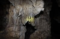Cueva Ventana Tour from San Juan