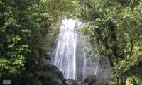 El Yunque Regenwald: Halbtägiger Ausflug ab San Juan El Yunque Regenwald: Halbtägiger Ausflug ab San Juan