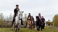 Horseriding tour in Akureyri