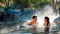 Tauranga-Landausflug: Geothermaler Geysir von Rotorua und Polynesian Spa-Kombipaket inklusive Mittagessen Tauranga-Landausflug: Geothermaler Geysir von Rotorua und Polynesian Spa-Kombipaket inklusive Mittagessen