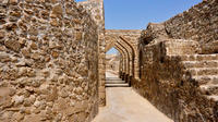 Archaeological Tour Bahrain