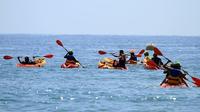 Sit on Top Kayak Tour in Taghazout from Agadir