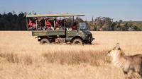 2-Hour Game Drive at the Plettenberg Bay Game Reserve