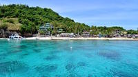 Half-Day Snorkeling at Dumaguete Apo Island Including Lunch