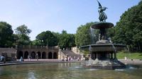 Imagen Small-Group Central Park Walking Tour