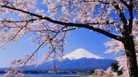 Führung zur Kirschblüte mit Besuch der Burg Odawara, Kawaguchi-See und Fahrt auf dem Piratenschiff einschließlich Mittagsbufett Führung zur Kirschblüte mit Besuch der Burg Odawara, Kawaguchi-See und Fahrt auf dem Piratenschiff einschließlich Mittagsbufett