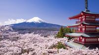 Festival de los cerezos en flor con visita al santuario de Arakura Sengen en Kawaguchiko desde Tokio Festival de los cerezos en flor con visita al santuario de Arakura Sengen en Kawaguchiko desde Tokio
