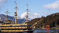 Mt Fuji Day Trip: Pirate Ship of Lake Ashi, Mt Fuji 5th Station and Gotemba Premium Outlets includin