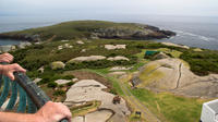 Montague Island Tour from Narooma image 1 Montague Island Tour from Narooma image 1
