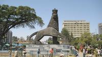 Addis Ababa City Tour by Car