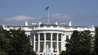 White House and Capital Views Outdoor Walking Tour