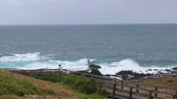 Half Day Phillip Island Cycling Tour image 1 Half Day Phillip Island Cycling Tour image 1