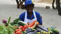 Half-Day Vanuatu Hunters and Gatherers Food Tour Including Cooking Class from Port Vila