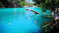 Shore Excursion: Vanuatu Cultural Tour and the Blue Lagoon from Port Vila