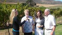 Full-Day Private Wine Tour from Franschhoek