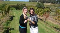 Half-Day Guided Private Wine Tour from Franschhoek