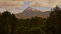 Derwent Valley Day Trip from Hobart image 1 Derwent Valley Day Trip from Hobart image 1