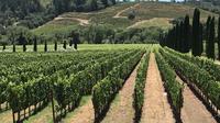 Excursión para grupos pequeños a la región vinícola desde San Francisco con catas de vino Excursión para grupos pequeños a la región vinícola desde San Francisco con catas de vino