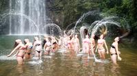 Atherton Tablelands Fun, Falls and Forests Day Trip from Cairns image 1 Atherton Tablelands Fun, Falls and Forests Day Trip from Cairns image 1