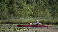 Door County Wetlands Kayak Tour