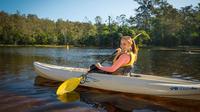 Walkabout Creek Adventures Kayak Hire