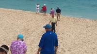 Pink Sand Shopping Tour