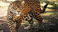 Entreebewijs voor GramadoZoo Entreebewijs voor GramadoZoo