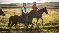 Country Life - 2 hours riding tour