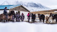 The Viking Ride - Winter riding in North Iceland