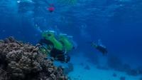 Expérience scooter sous-marin et snorkeling en petit groupe à Bora Bora Expérience scooter sous-marin et snorkeling en petit groupe à Bora Bora