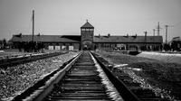 Auschwitz-Birkenau und Salzbergwerk Wieliczka - Ganztagestour ab Krakau Auschwitz-Birkenau und Salzbergwerk Wieliczka - Ganztagestour ab Krakau