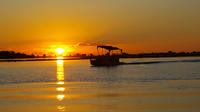 Chobe Boat Cruise