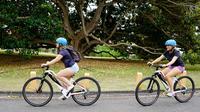 Best of Manly Guided E-Bike Tour image 1 Best of Manly Guided E-Bike Tour image 1