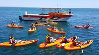 Excursion en kayak à Ponta da Piedade au départ de Lagos Excursion en kayak à Ponta da Piedade au départ de Lagos
