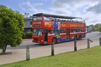 Darwin Shore Excursion: Hop-on Hop-off Bus Tour