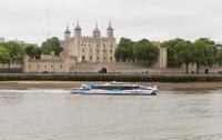 Imagen Croisière en bateau à arrêts multiples Thames Clippers : passe à arrêts multiples